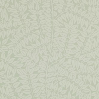 Image de Branch Sage - 210375