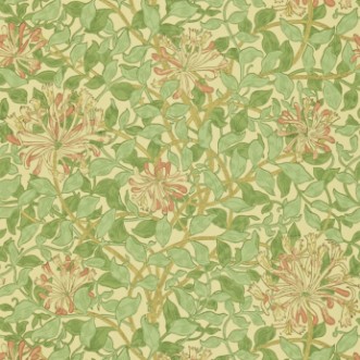 Image de Honeysuckle Green/Beige/Pink - DMC1HS103