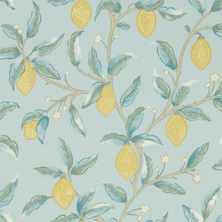 Picture of Lemon Tree Wedgewood - 216674