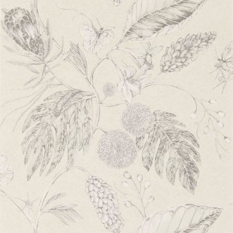 Picture of Amborella - HGAT111220-OUTLET