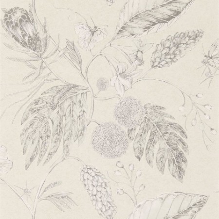 Picture of Amborella - HGAT111220-OUTLET