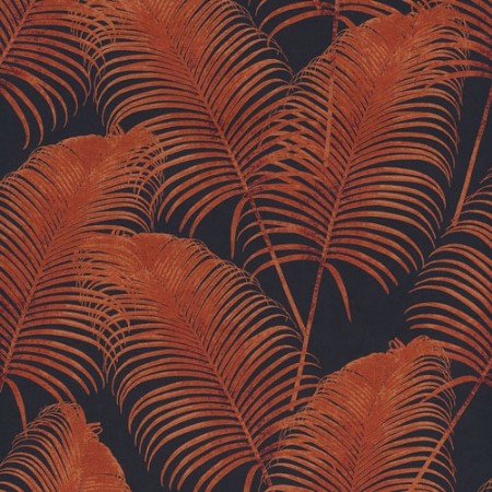 Picture of Paloma Midnight - OXY406-OUTLET