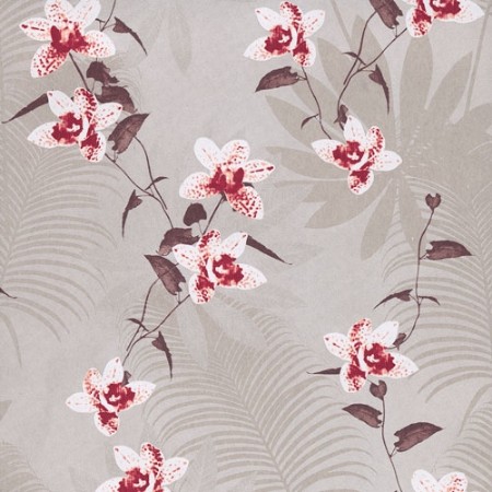 Picture of Juniper Burgundy -OXY501-OUTLET