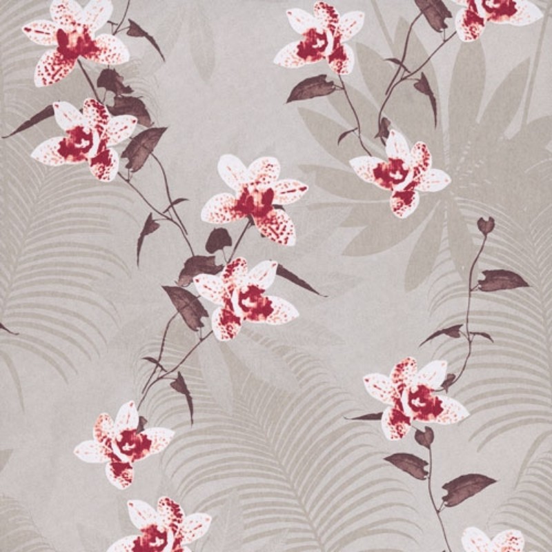 Picture of Juniper Burgundy -OXY501-OUTLET