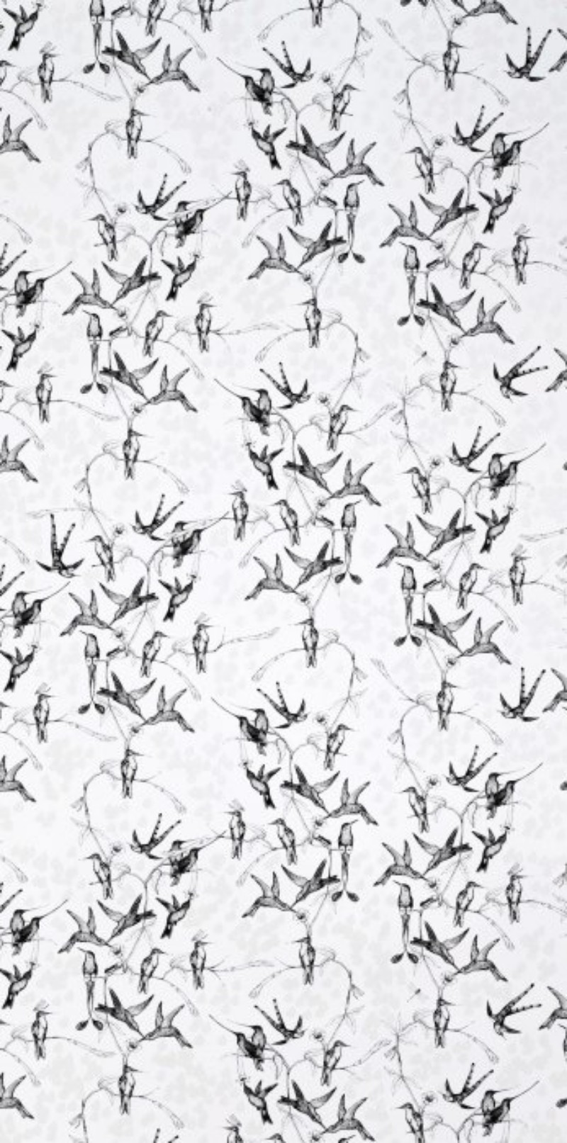 Image de Rainbirds White/Black - WP2100-OUTLET