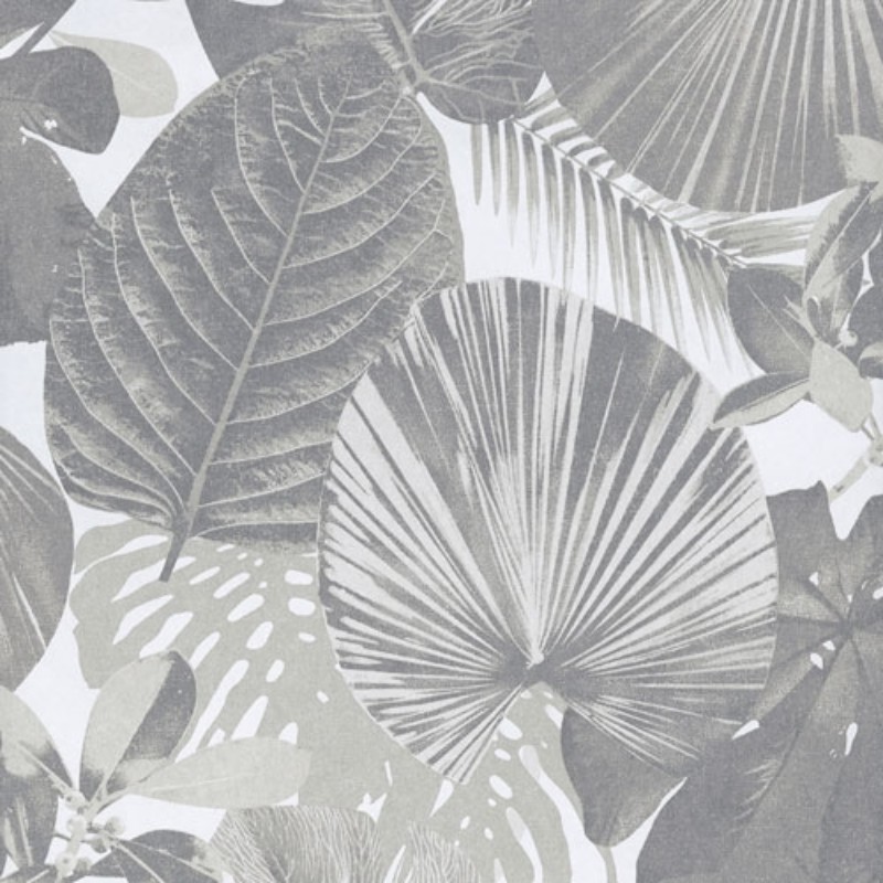 Picture of Fuji Moon - OXY006-OUTLET