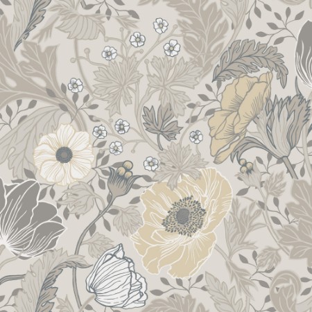 Picture of Anemone - 34033