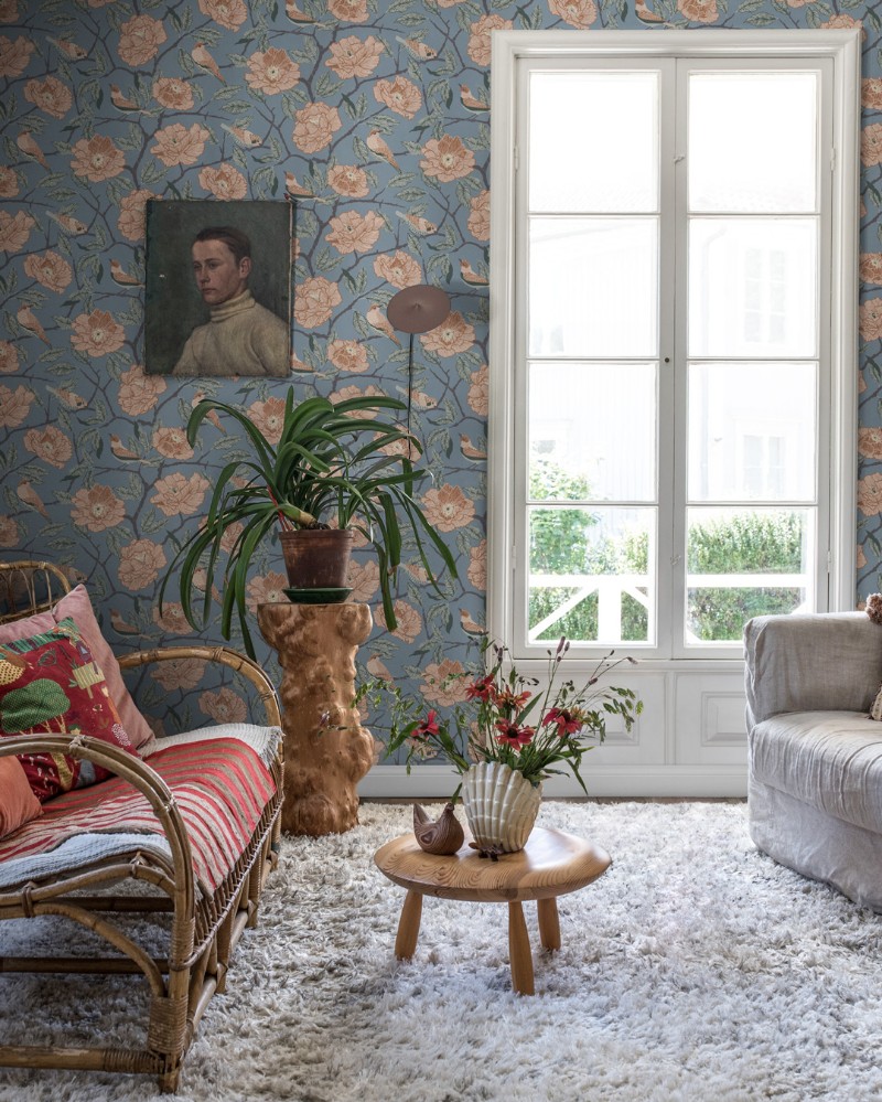 Picture of Bernadina - 34025