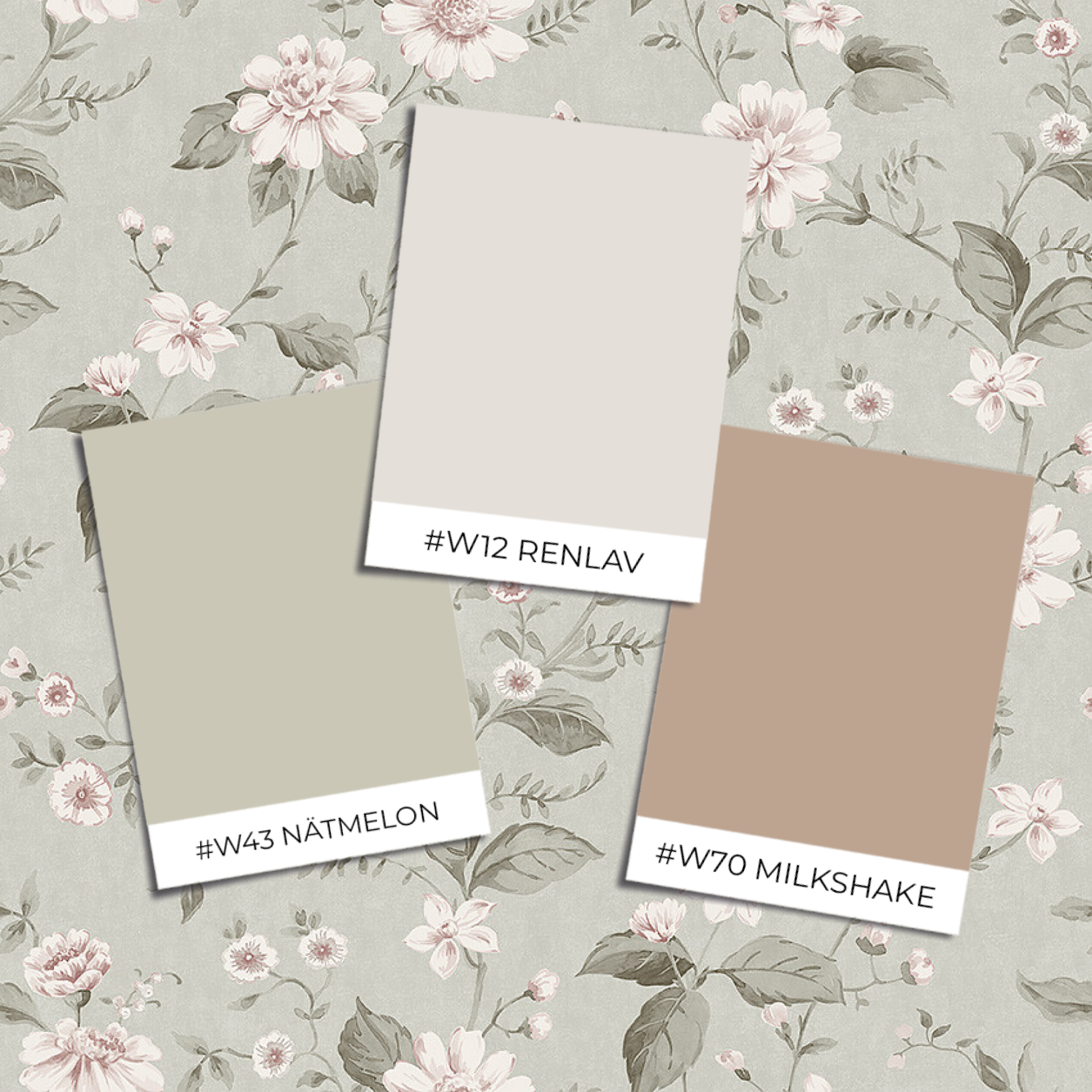 Picture of Laura´s Cottage - 3574