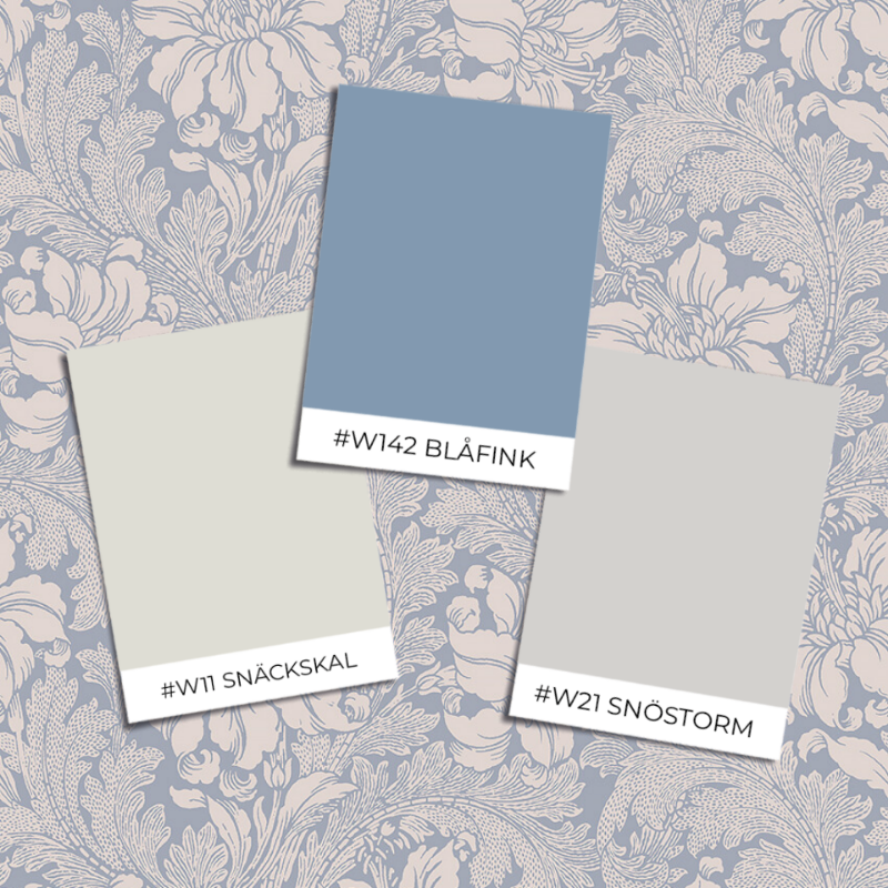 Image de Acanthus - 2010