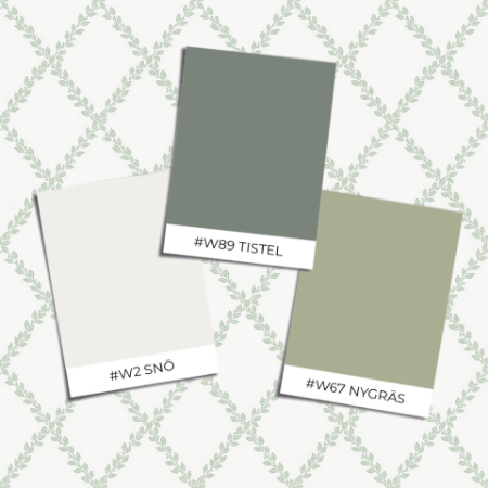 Image de Borosan Easy-Up 2020 - 38608