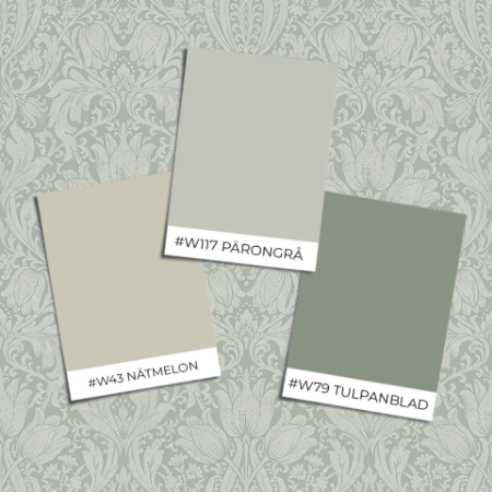 Picture of Borosan Easy-Up 2020 - 38604