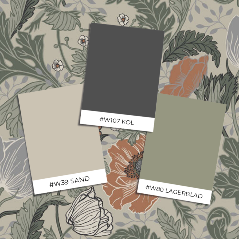 Bild vun Anemone - 33001