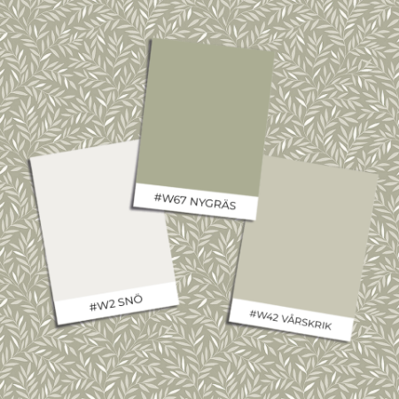 Image de Borosan 21 - 8613