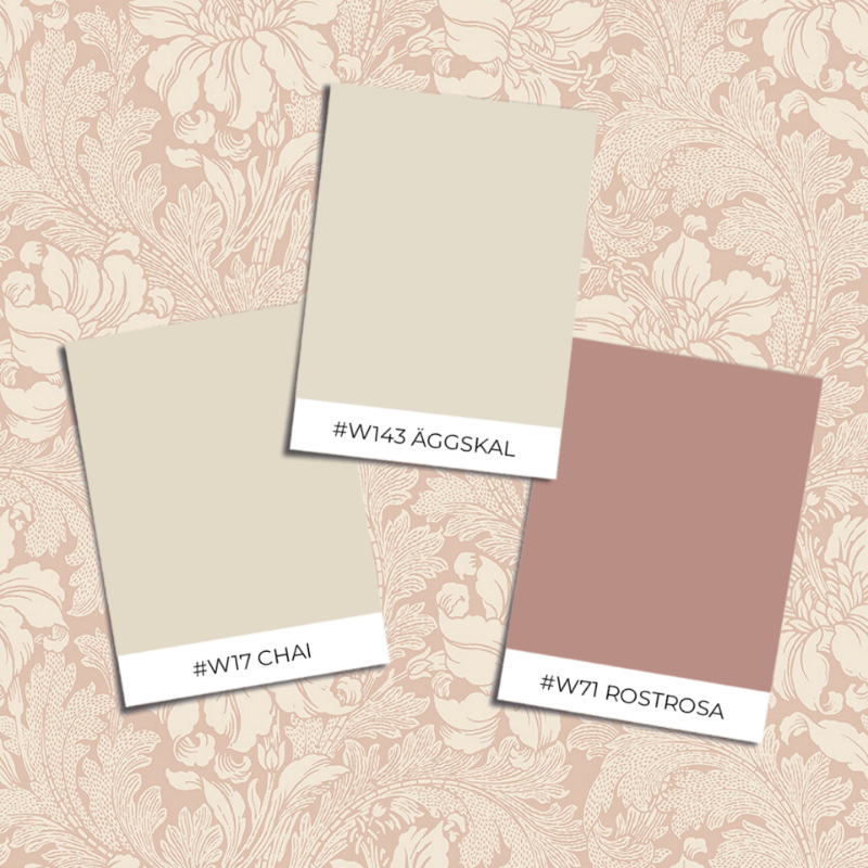 Image de Acanthus - 2009