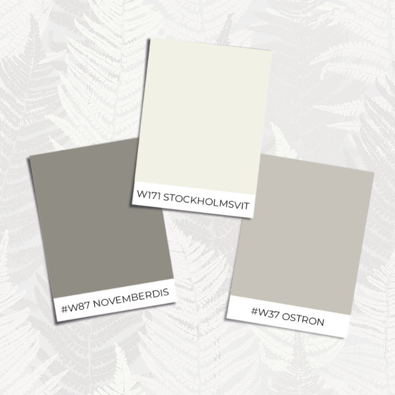 Picture of Fern Forest - 1163