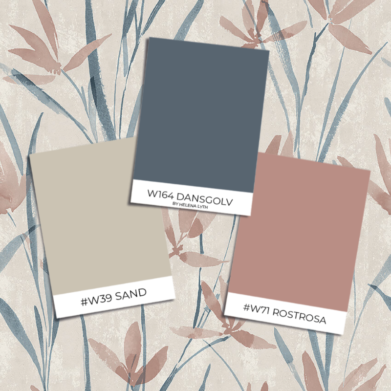 Image de Borosan Easy-Up 2020 - 38624