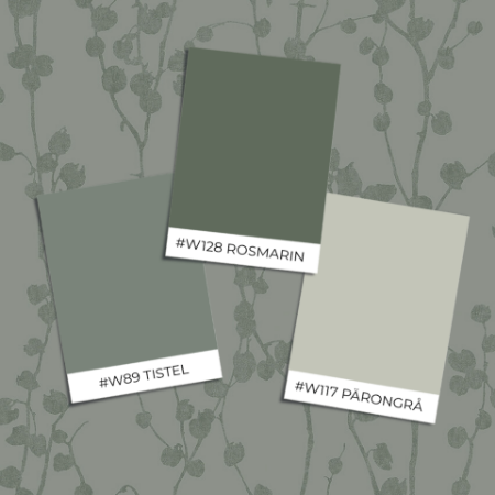 Picture of Disa - 7427