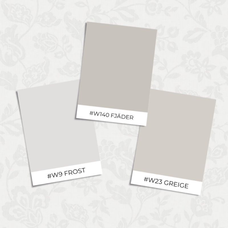 Image de Borosan Easy-Up 2020 - 38639