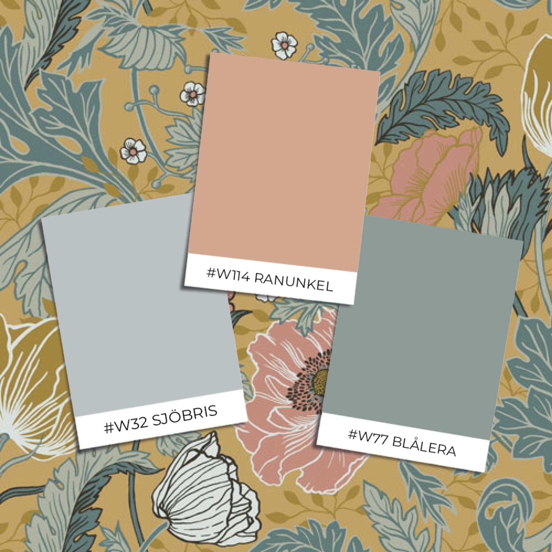 Immagine di Anemone - 33002