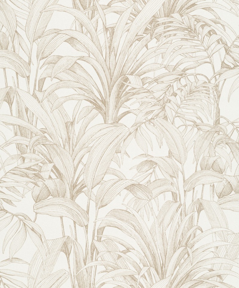 Picture of Aliare - K1402