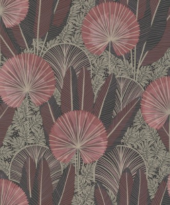 Picture of Asperia - K4702