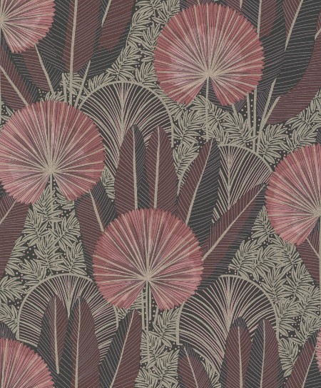 Picture of Asperia - K4702