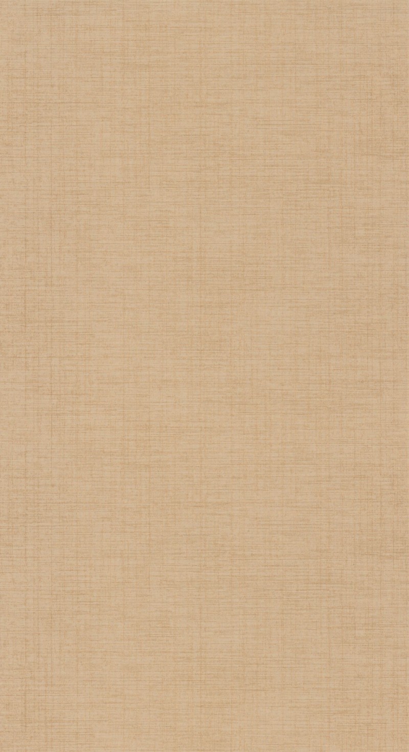 Picture of Tissage Beige Raphia - 85841414