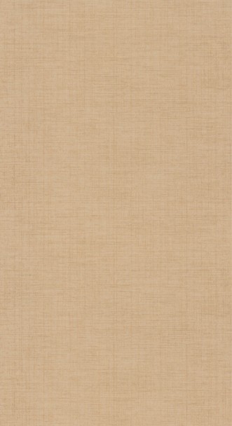 Afbeeldingen van Tissage Beige Raphia - 85841414