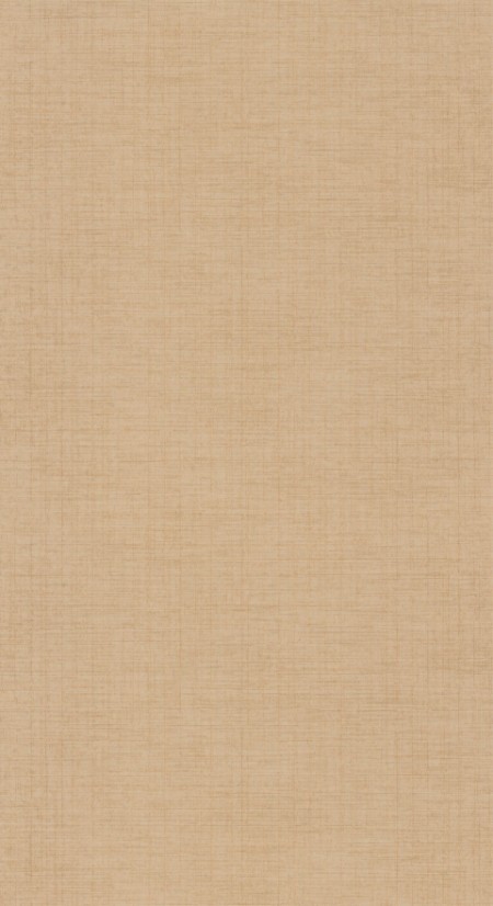 Bild på Tissage Beige Raphia - 85841414