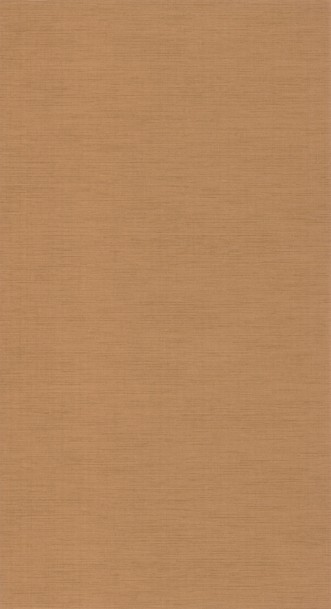 Image de Tissage Caramel - 85842323