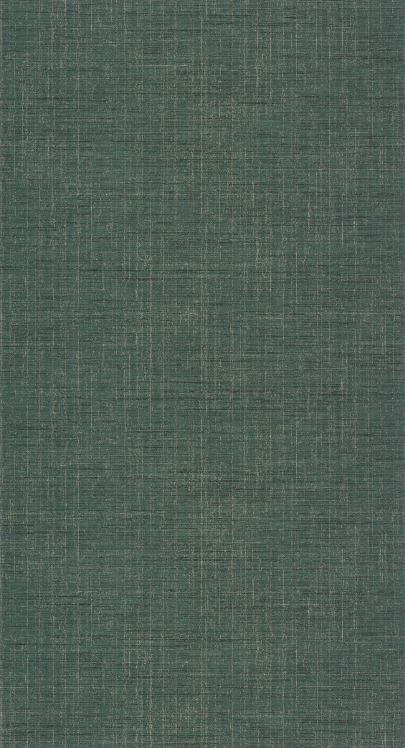 Afbeeldingen van Tissage Vert Amazonie - 85847507