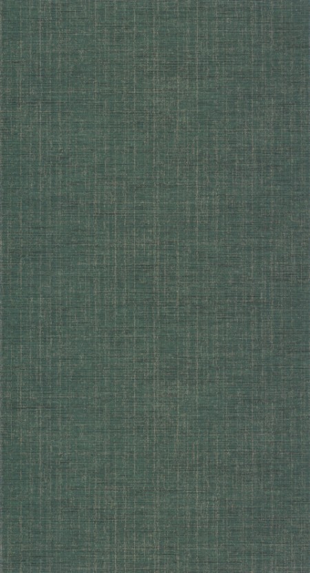 Afbeeldingen van Tissage Vert Amazonie - 85847507