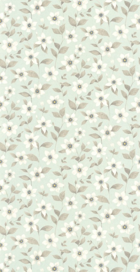 Picture of Clematites Bleu Grise - 87646120