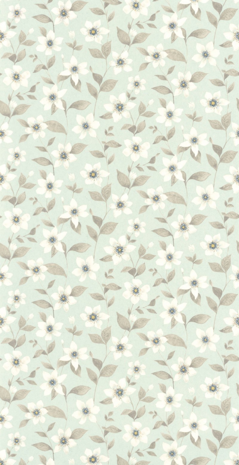 Afbeeldingen van Clematites Bleu Grise - 87646120