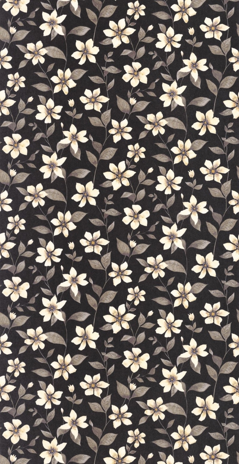 Bild på Clematites Noir Fusain - 87649897