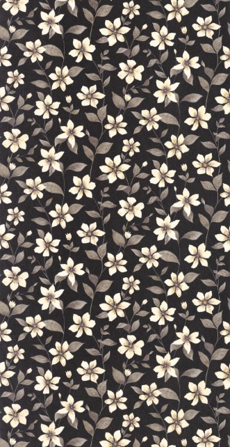 Afbeeldingen van Clematites Noir Fusain - 87649897