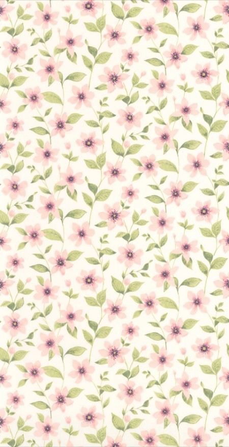 Picture of Clematites Rose Anglais - 87644352