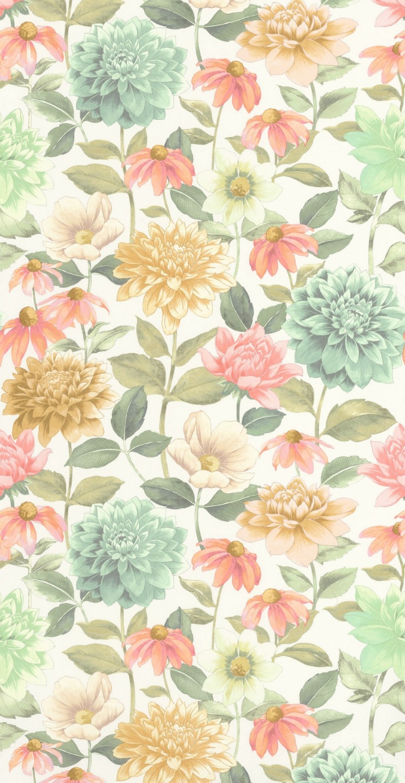 Picture of Dahlia Bouquet Fond Blanc - 87660528