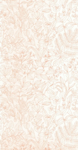 Picture of Esquisse Corail - 87593478