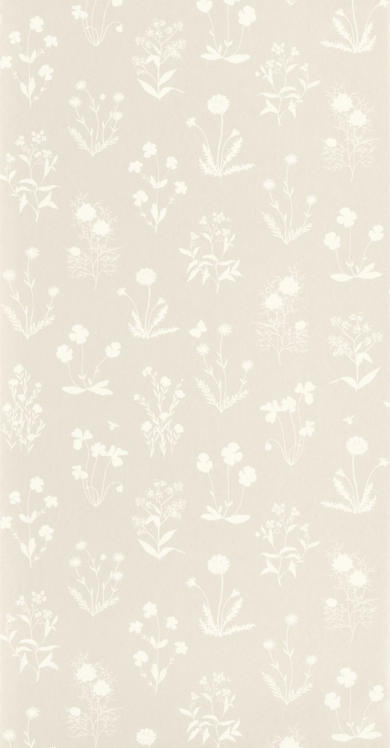 Picture of Herbier Beige Lin - 87621218