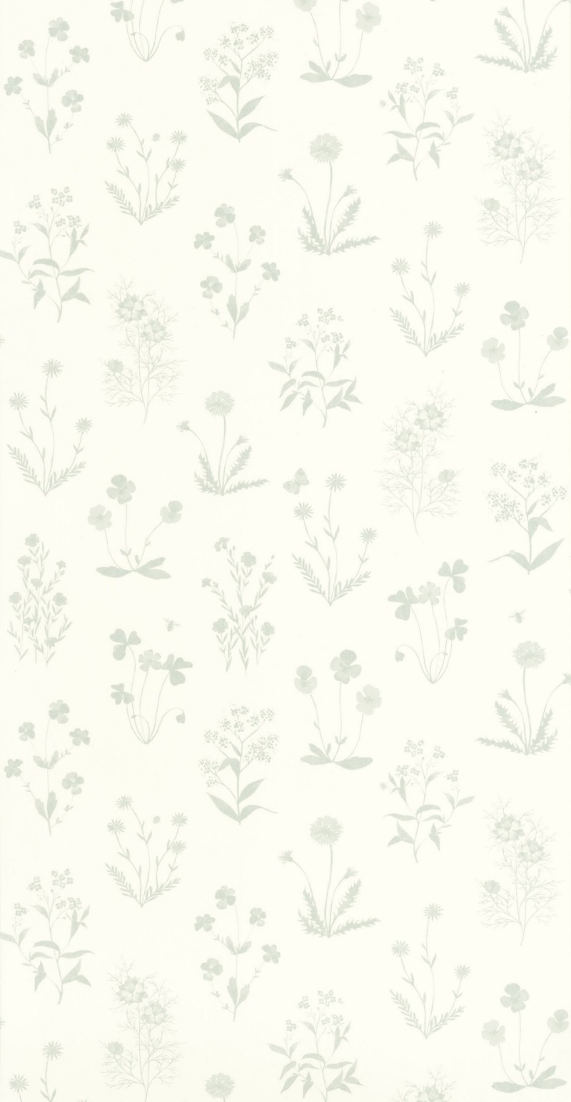 Picture of Herbier Bleu Grise - 87626209