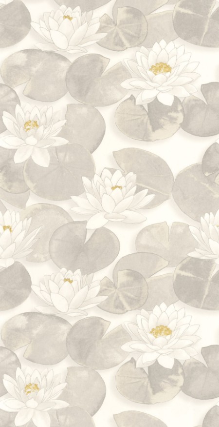 Picture of Nymphea Blanc Coton - 87630122