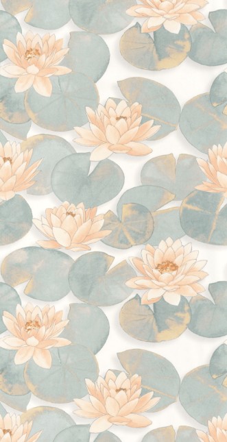 Afbeeldingen van Nymphea Corail - 87633219