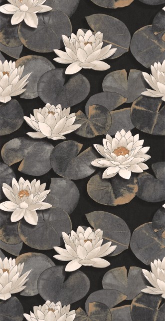 Bild på Nymphea Noir Fusain - 87639874