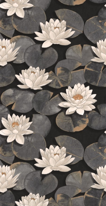 Picture of Nymphea Noir Fusain - 87639874