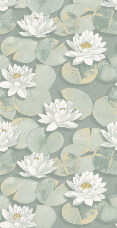 Obrázek Nymphea Vert Sauge - 87637360