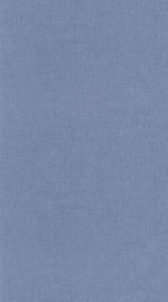 Picture of Uni Bleu Jean Clair - 68526450