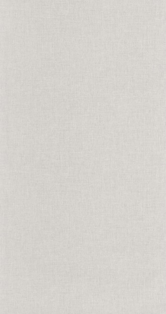 Picture of Uni Mat Gris Etain - 103229123