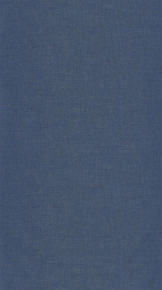 Picture of Uni Metallise/Irise Bleu Jean Cuivre - 103236032